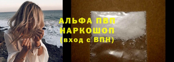 spice Вяземский