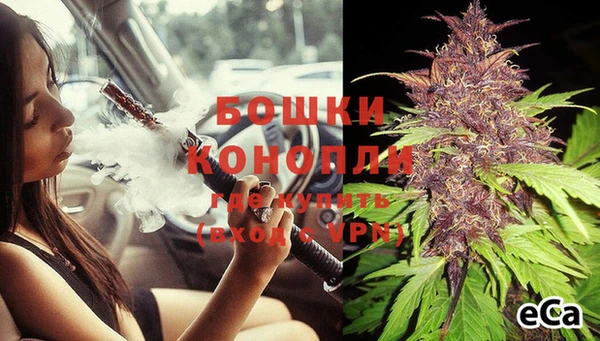 spice Вяземский