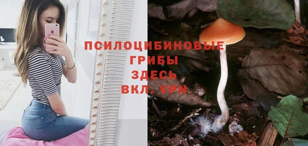 spice Вяземский