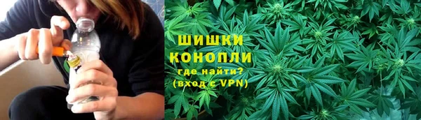 spice Вяземский